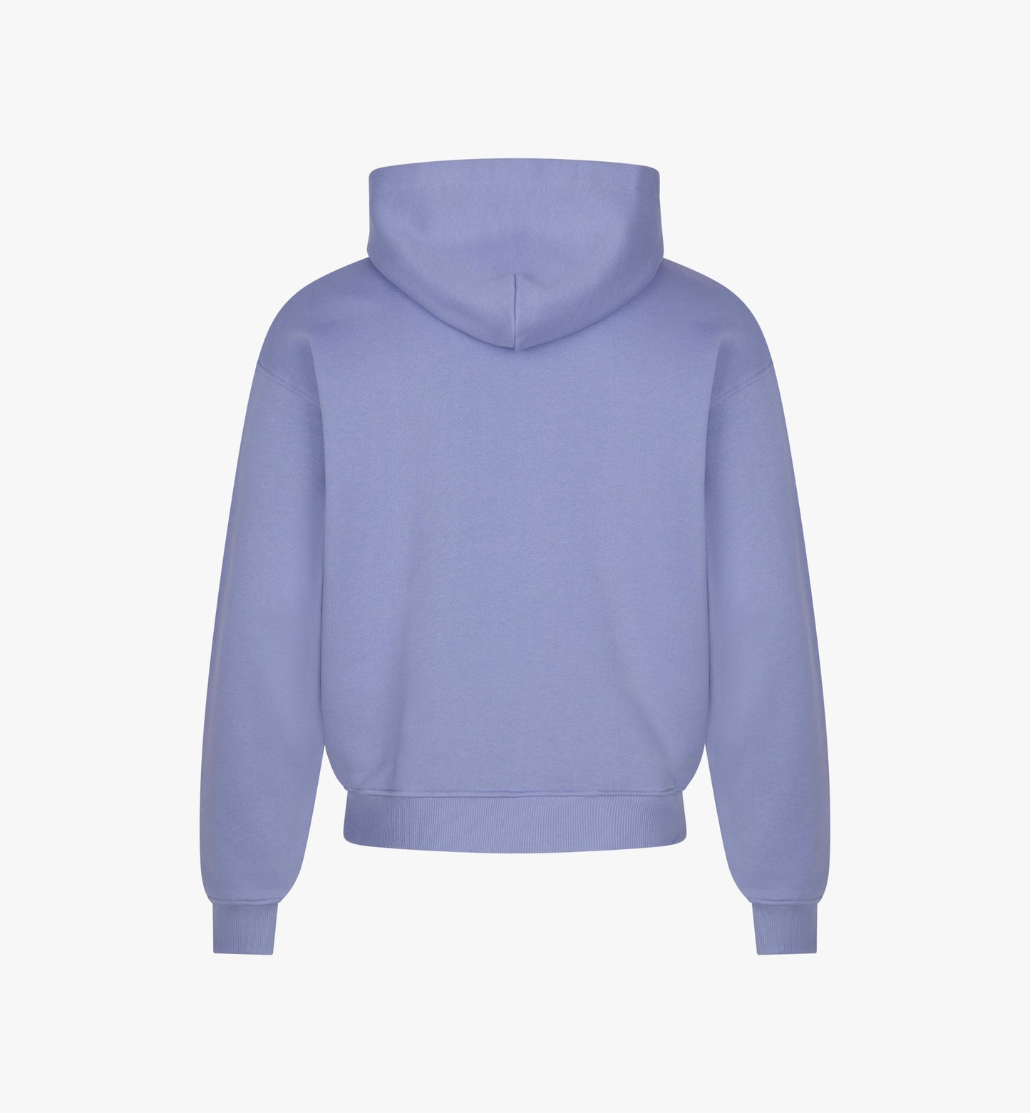 Spoilt Society Hoodie „Y2K“